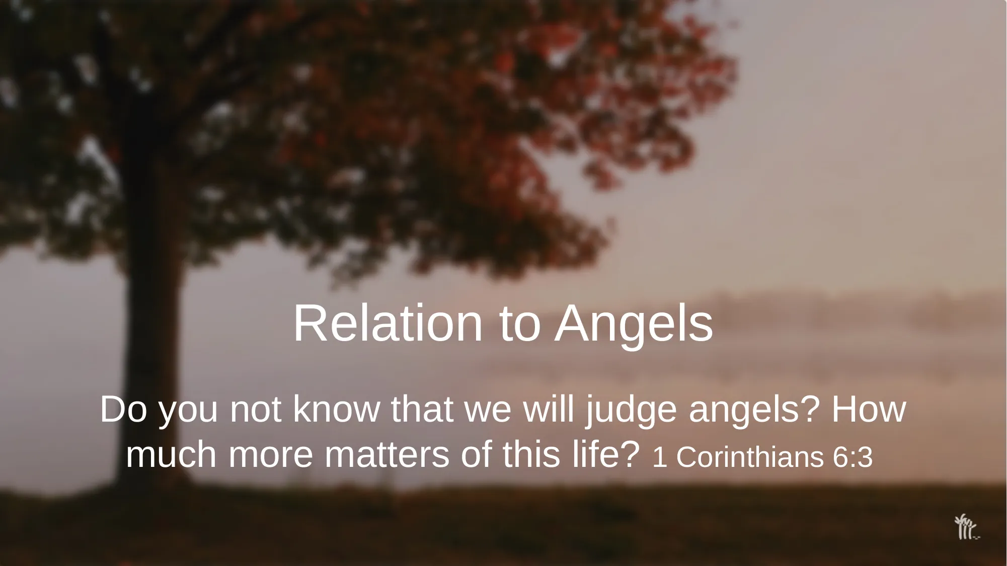 Slide 8