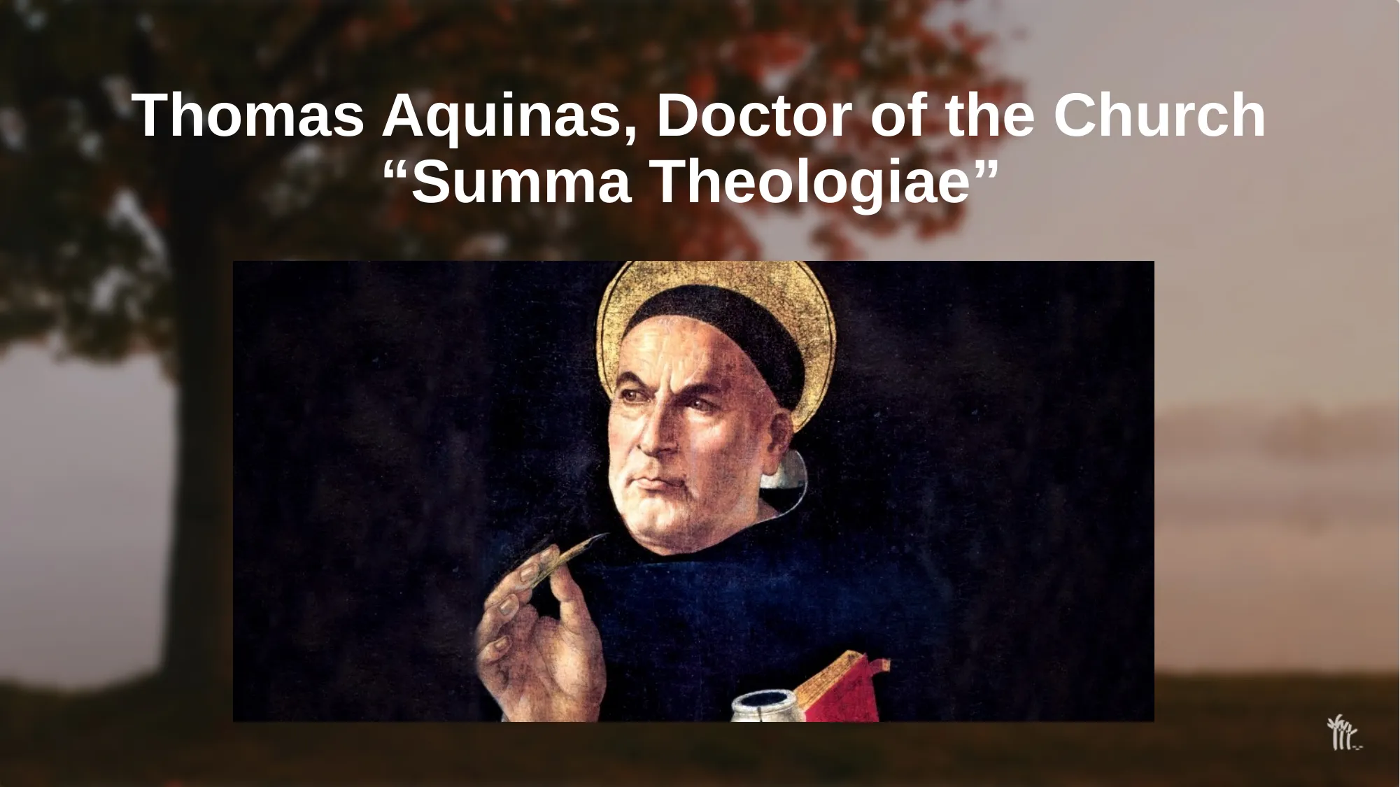 Slide 3