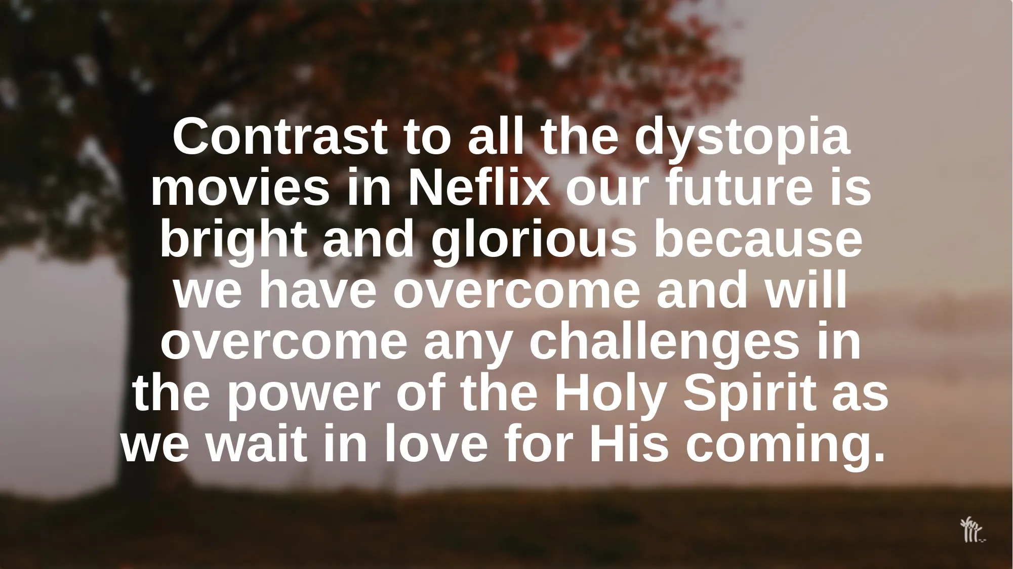 Slide 23
