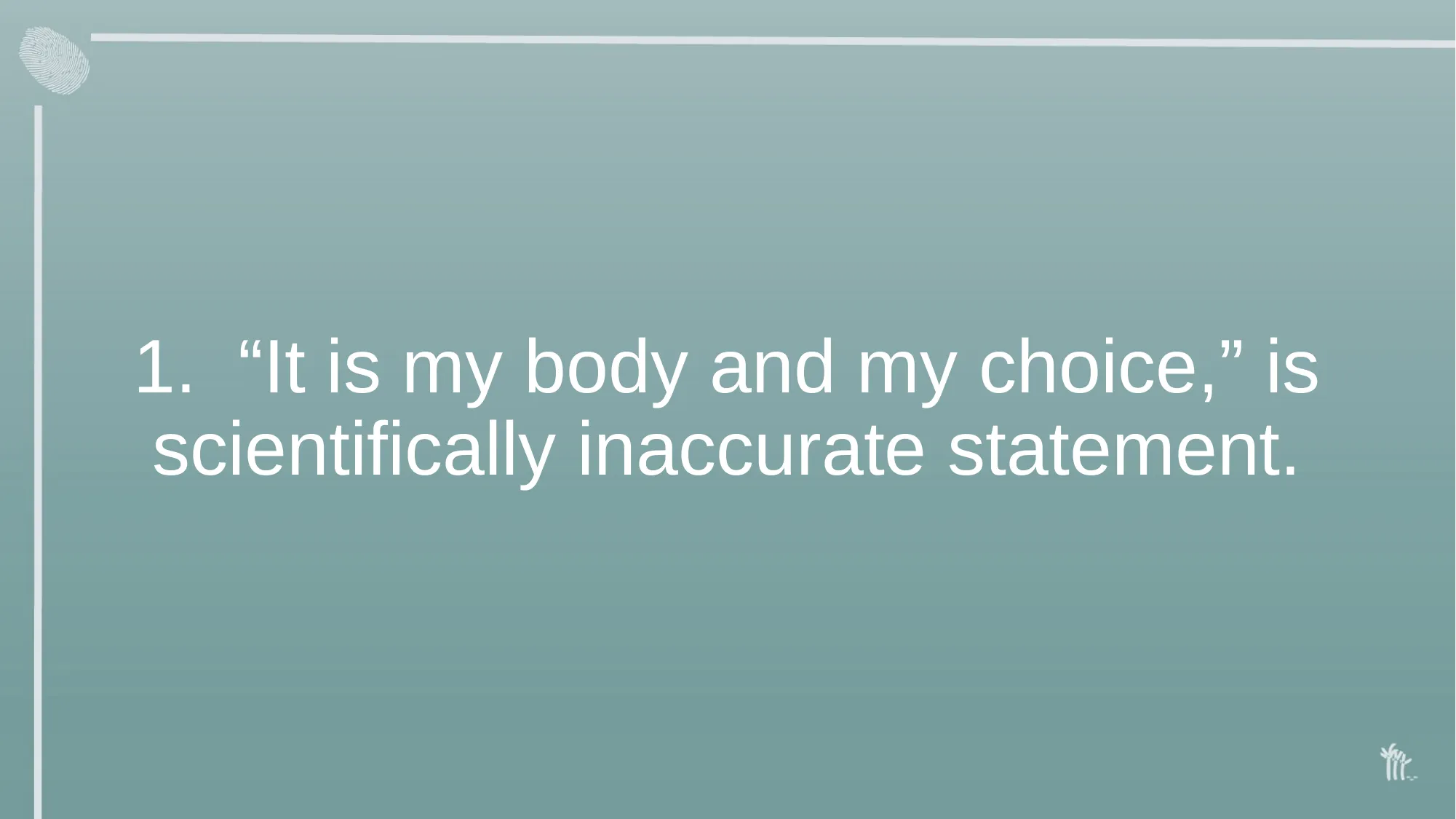 Slide 5