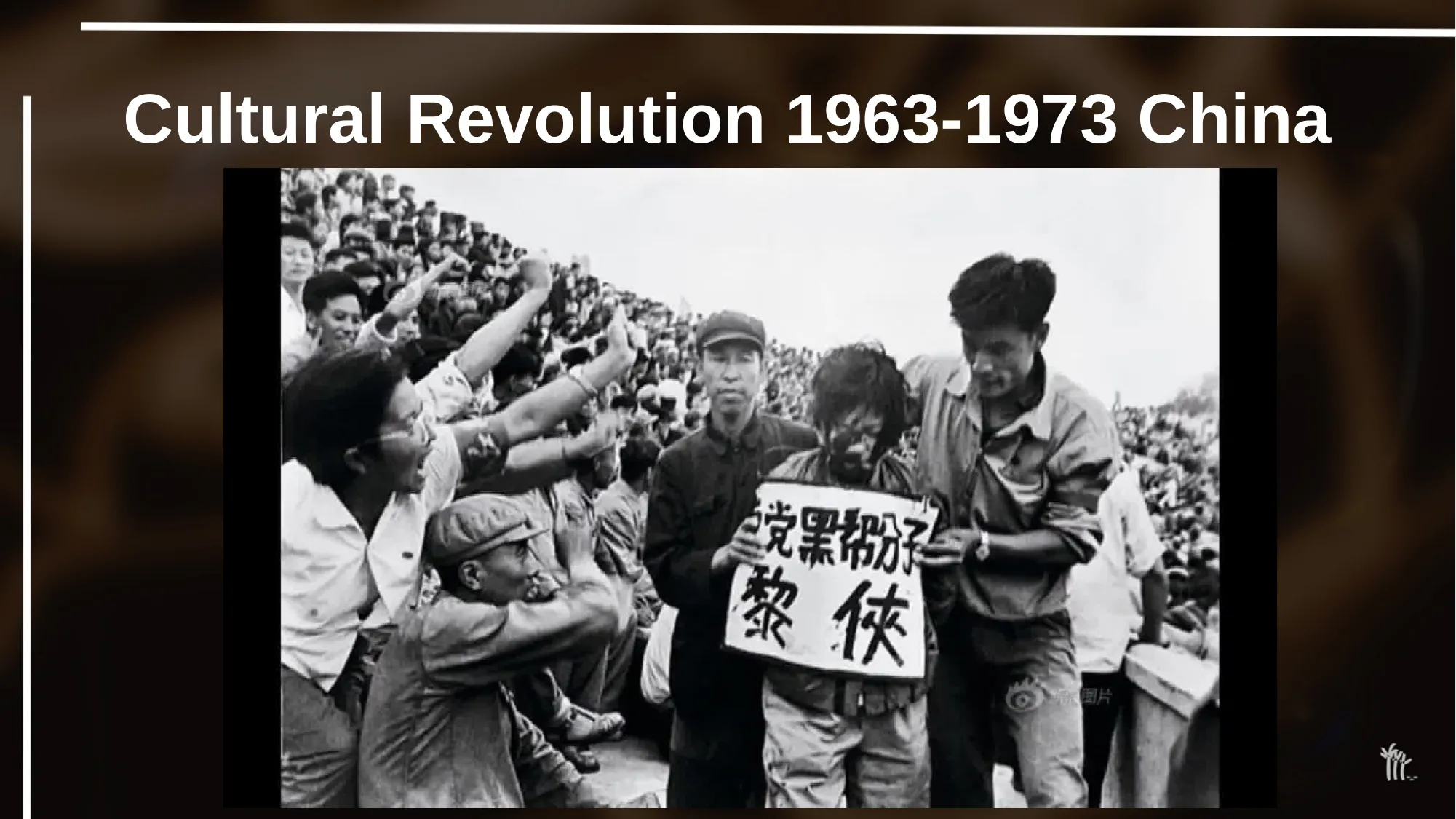 Slide 11