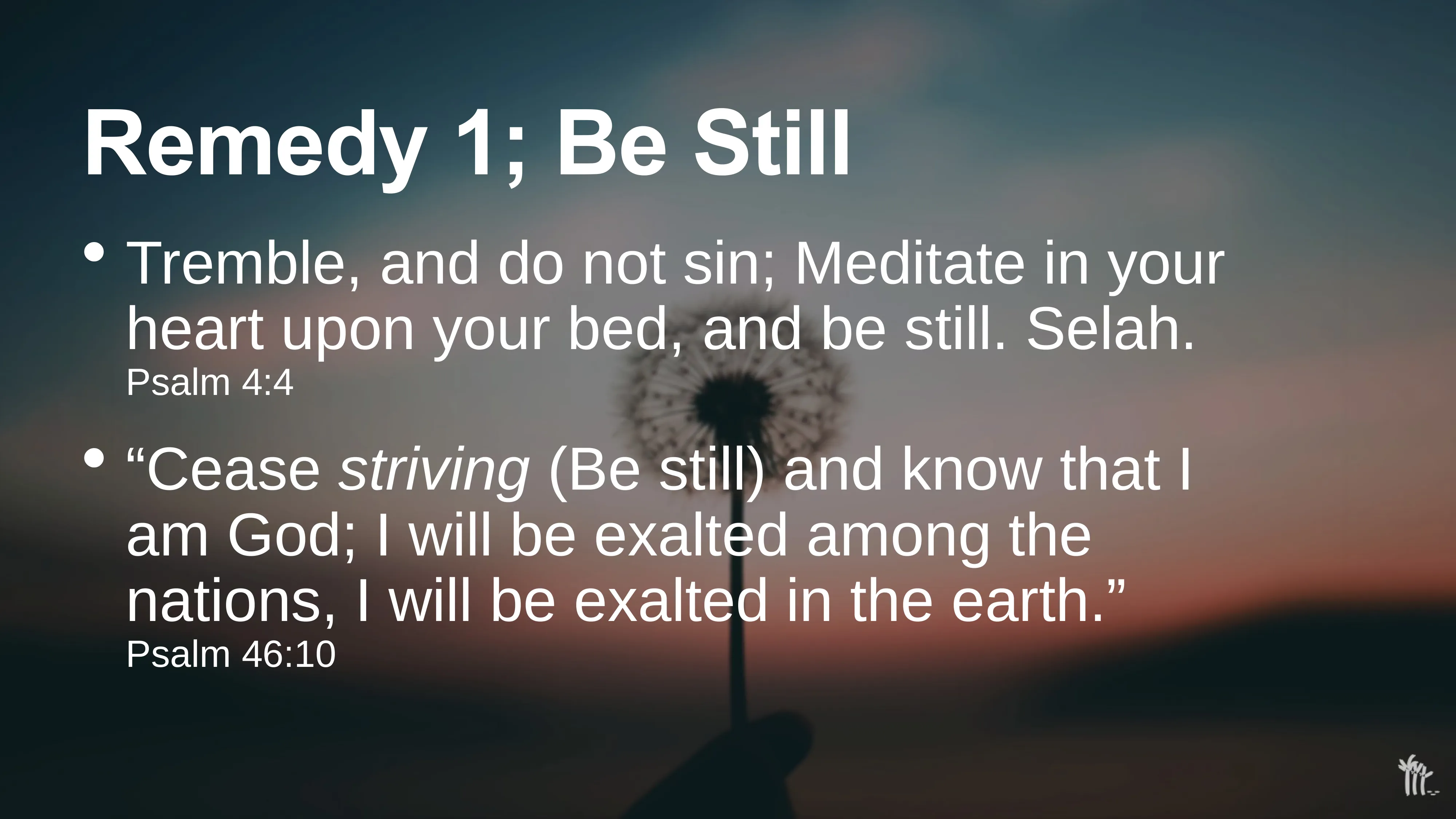 Slide 10