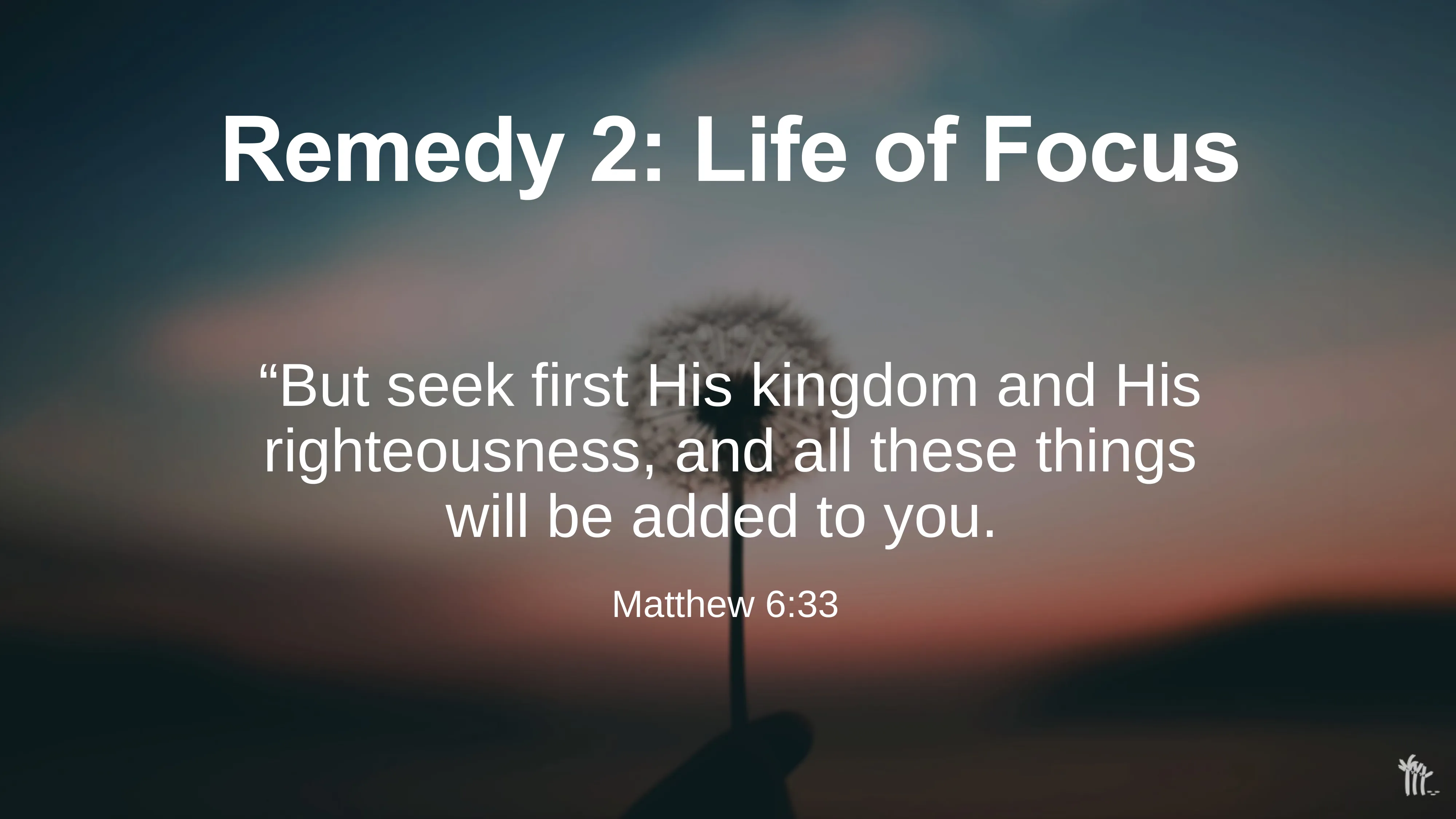 Slide 17