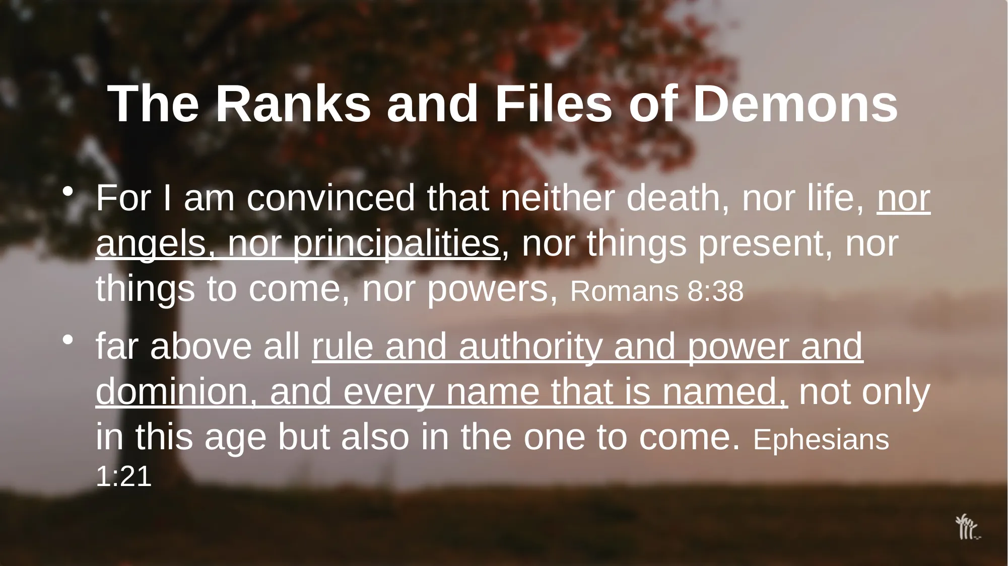 Slide 12