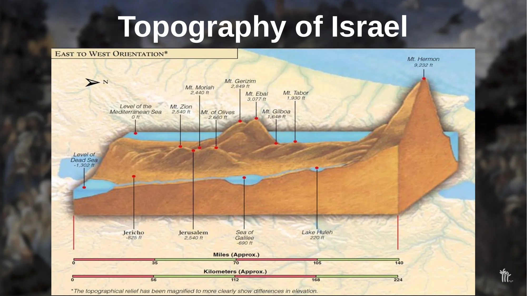 Slide 8