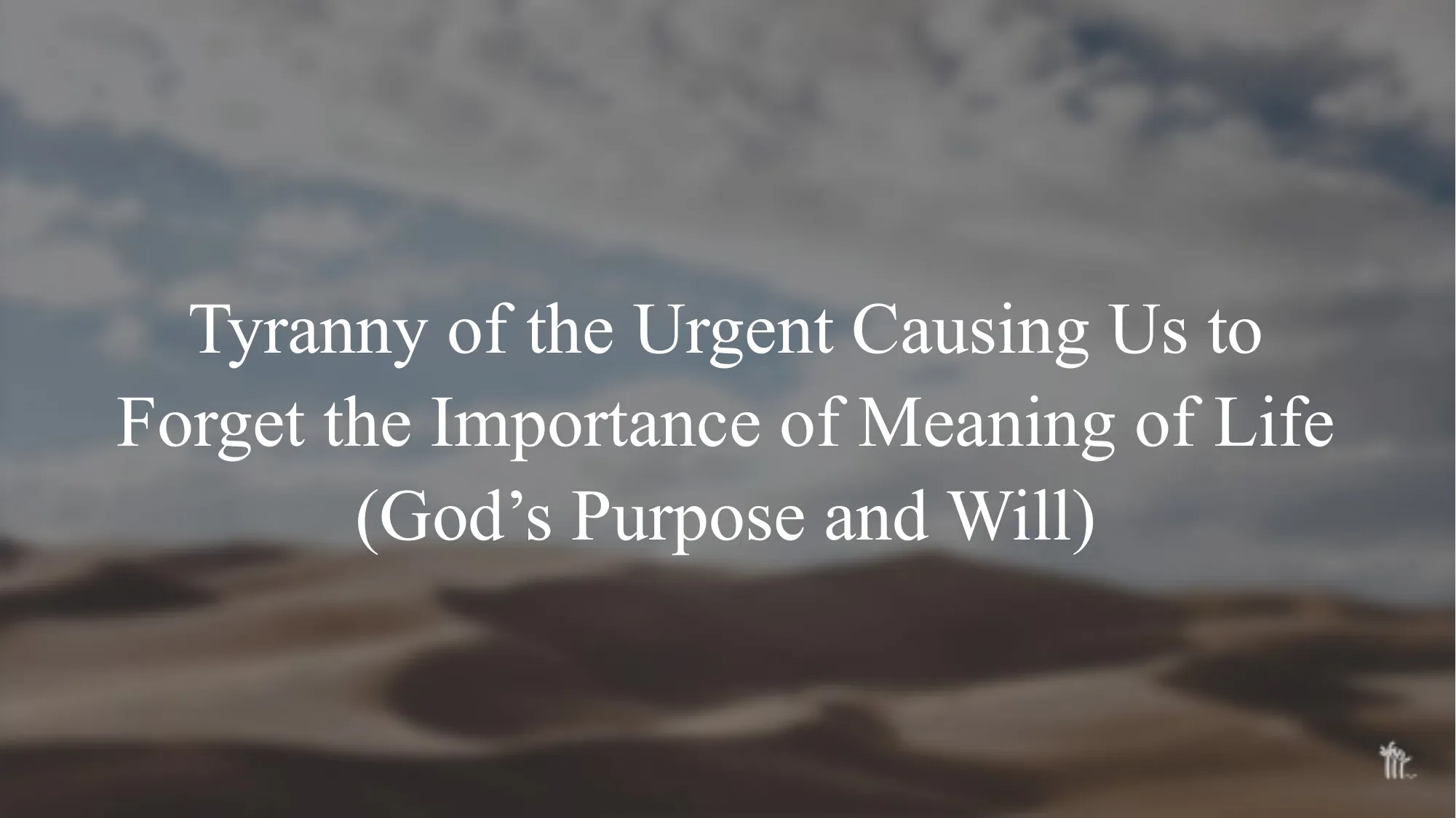 Slide 14