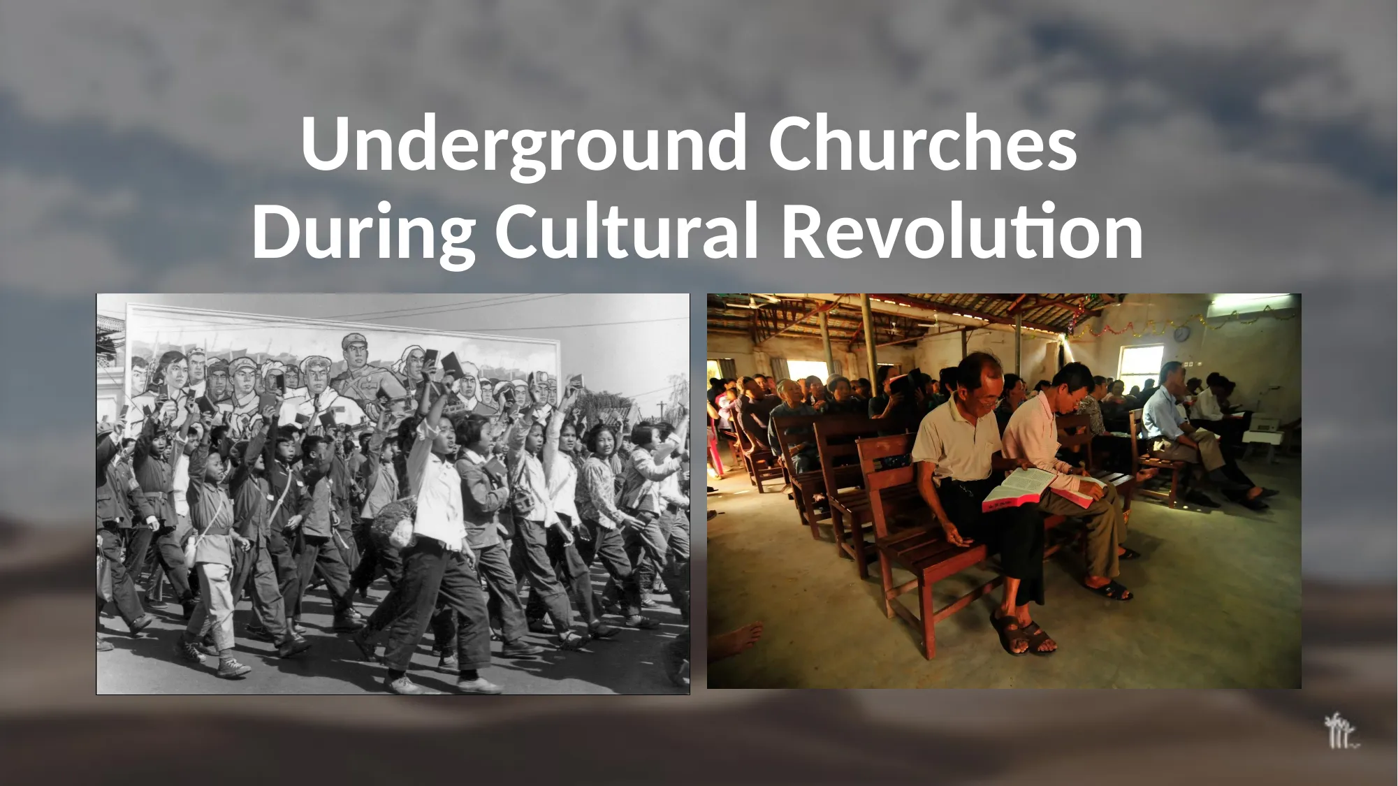 Slide 6