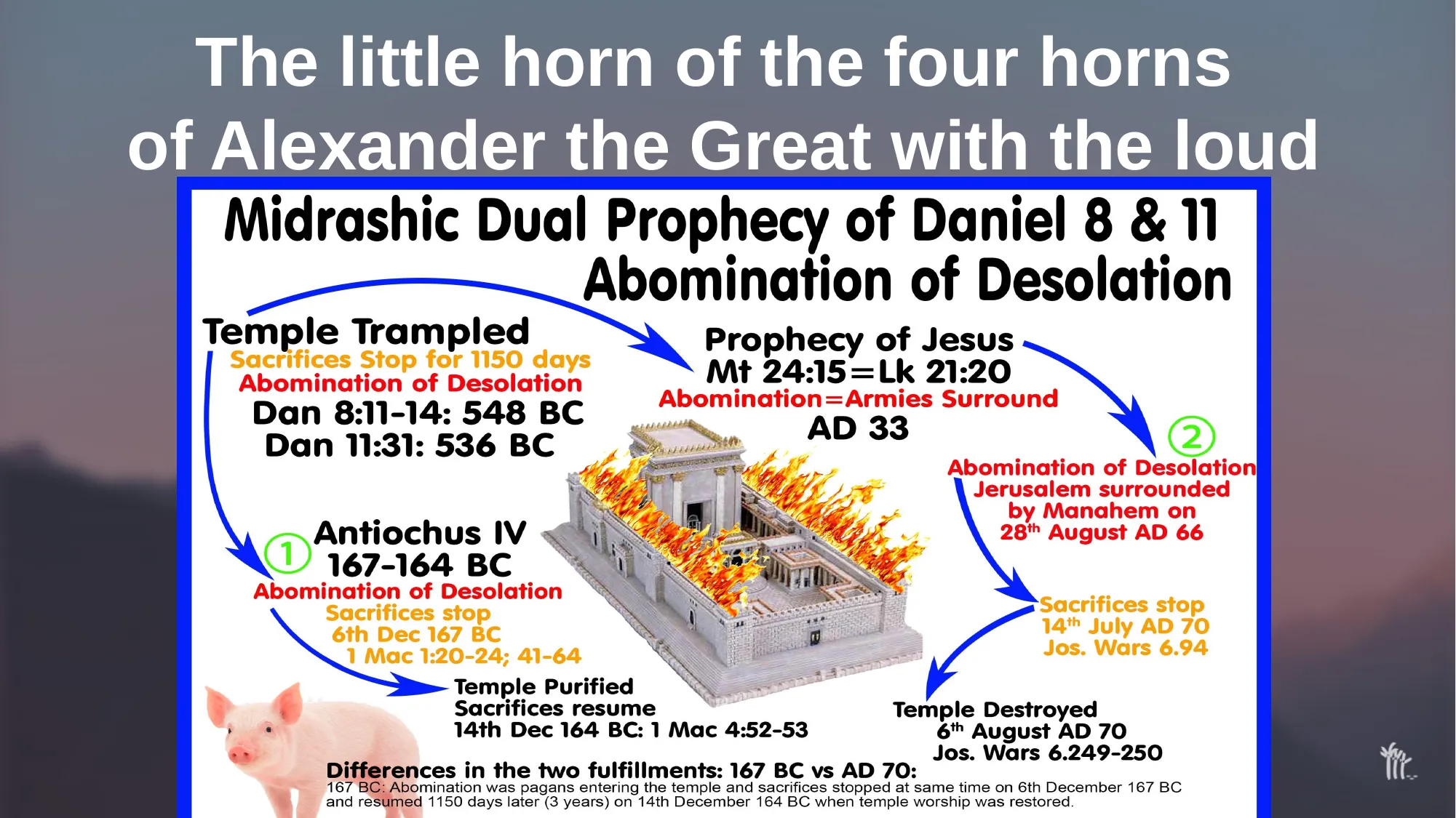 Slide 9