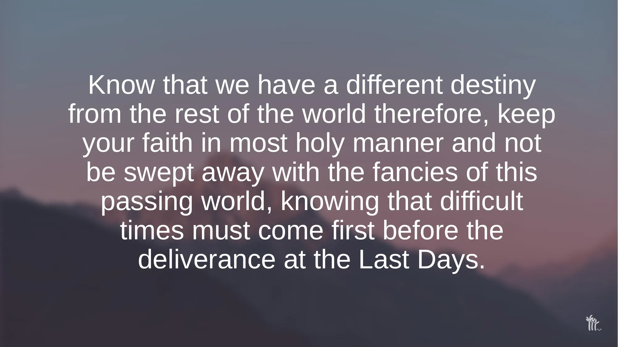 Slide 15