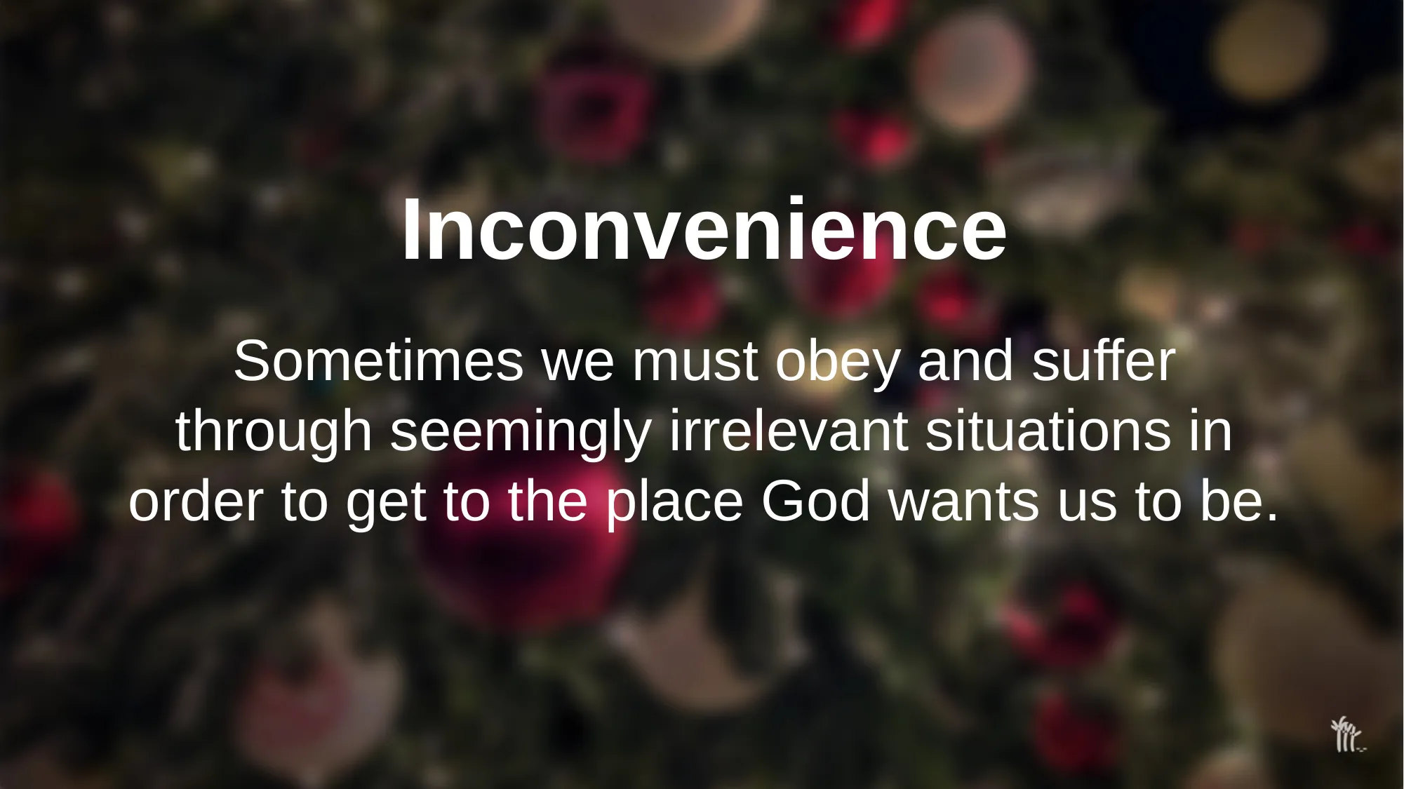 Slide 8