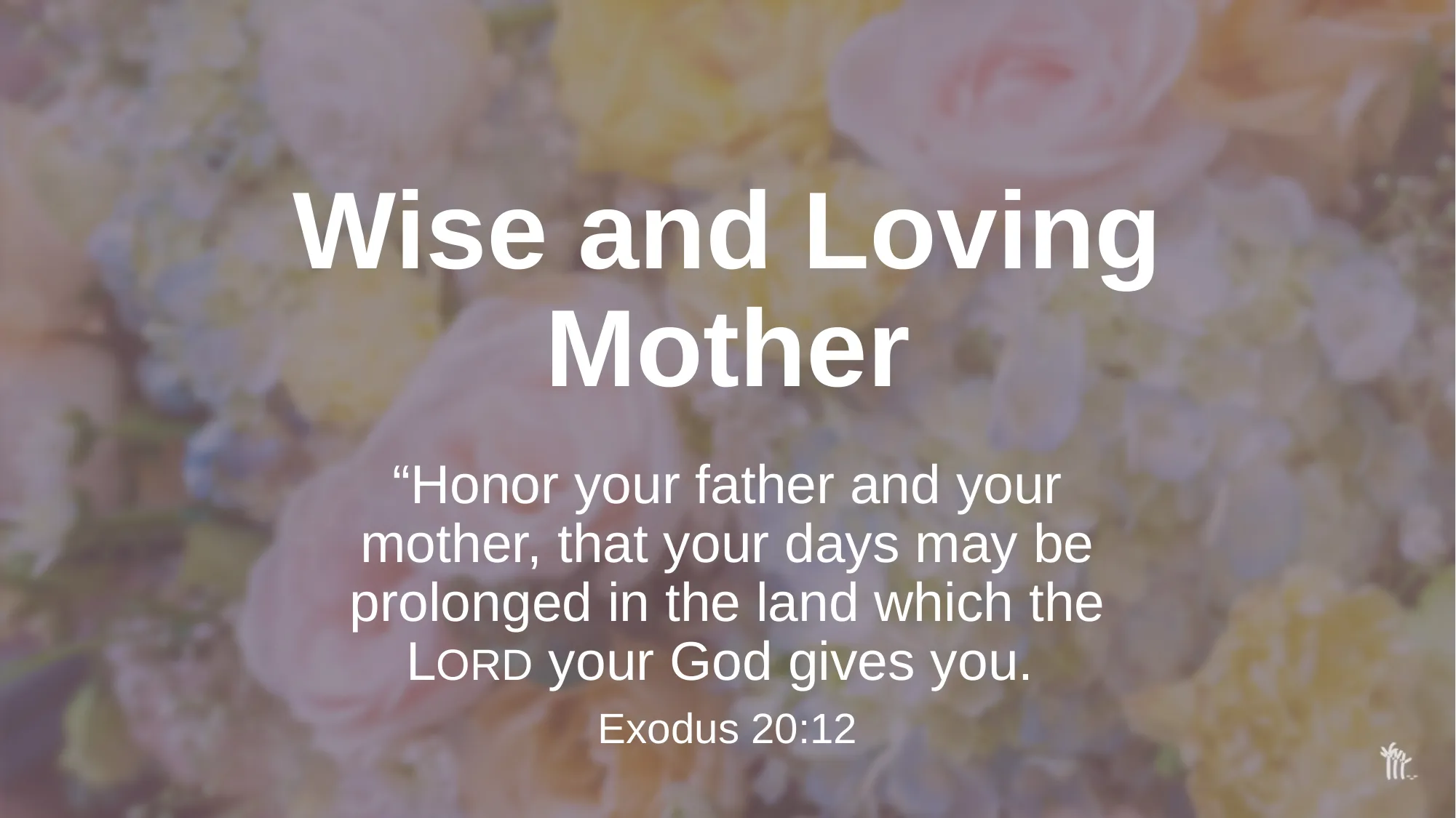 Slide 1 of 17