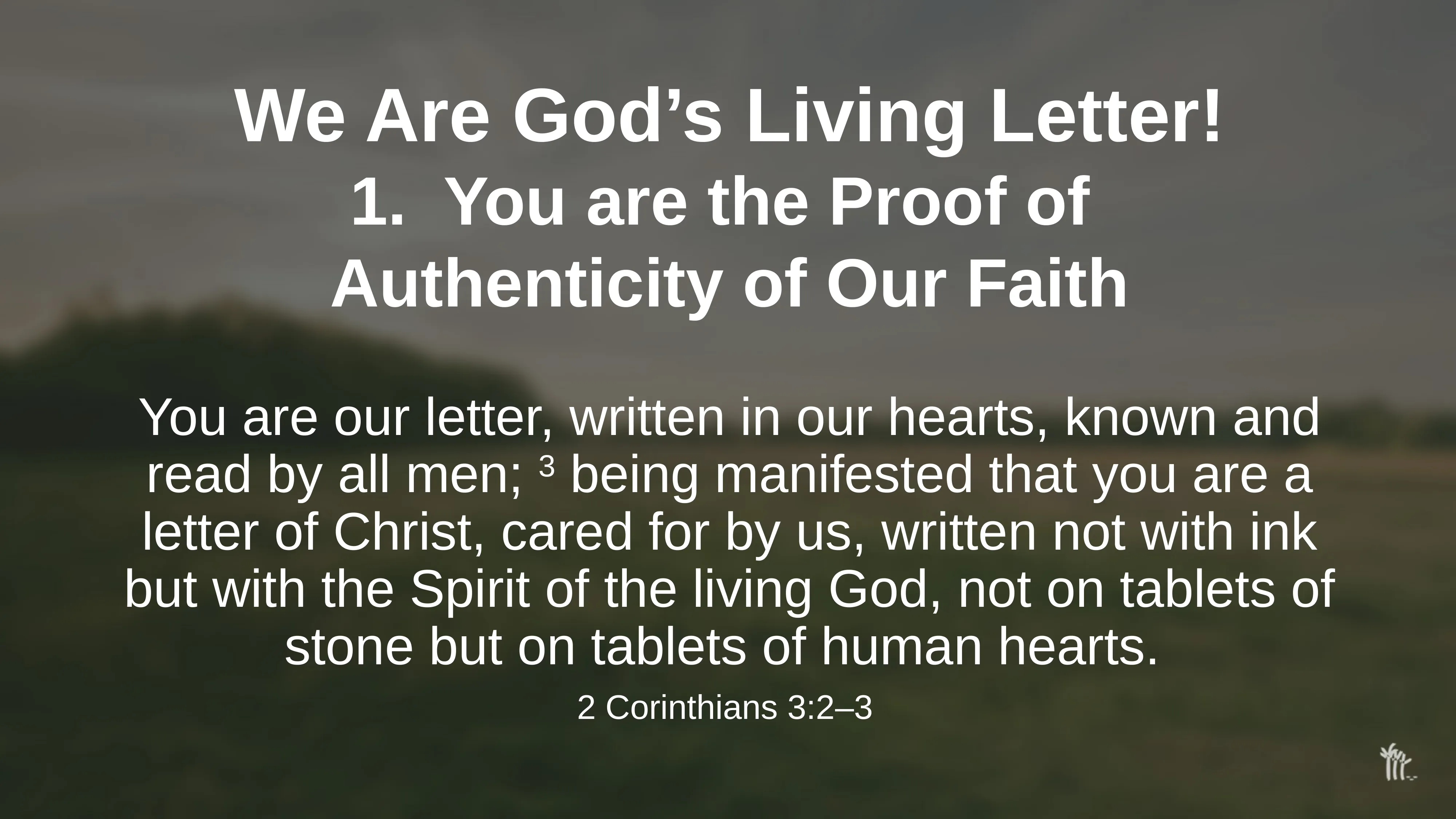 Slide 8