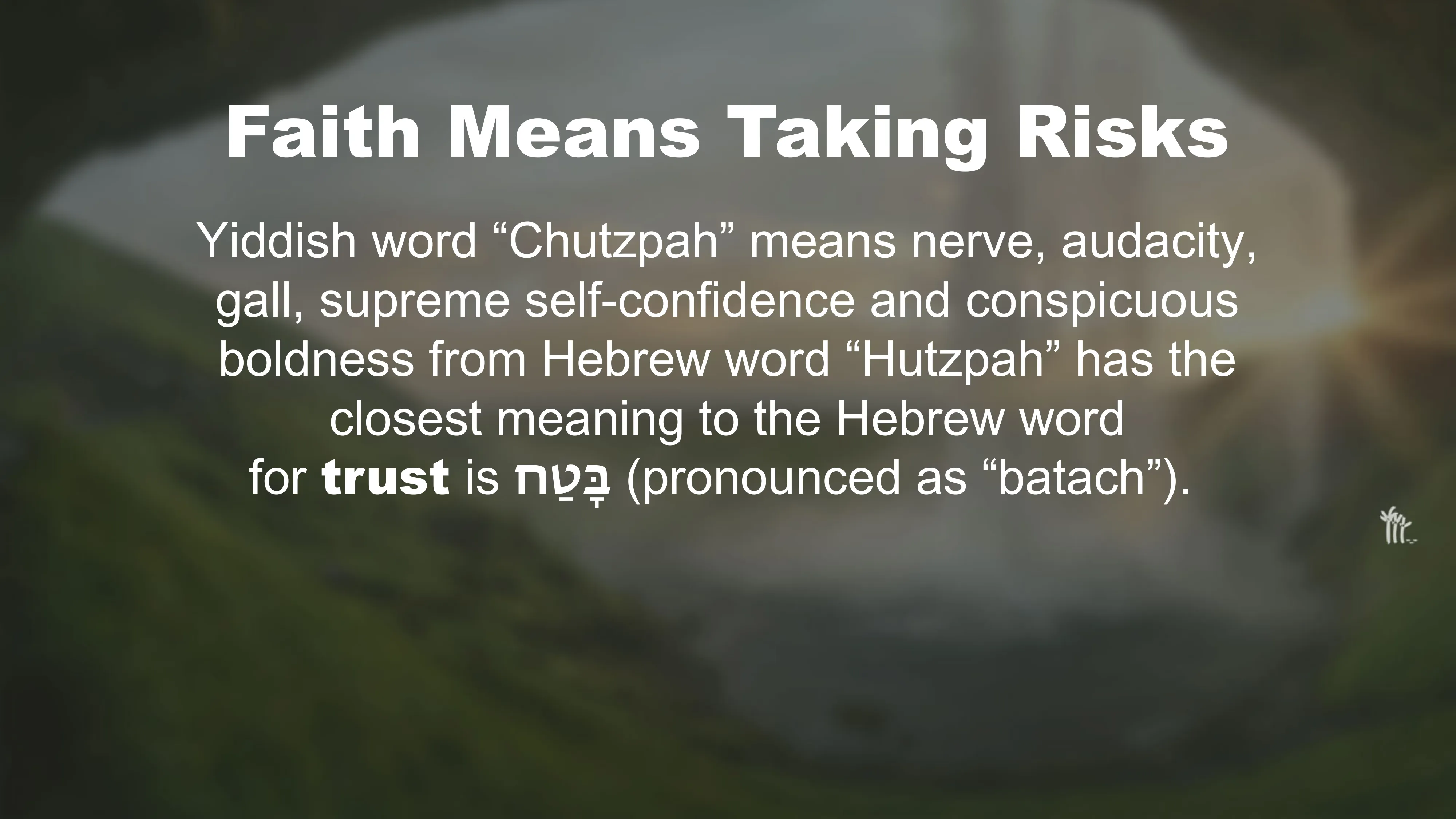 Slide 7