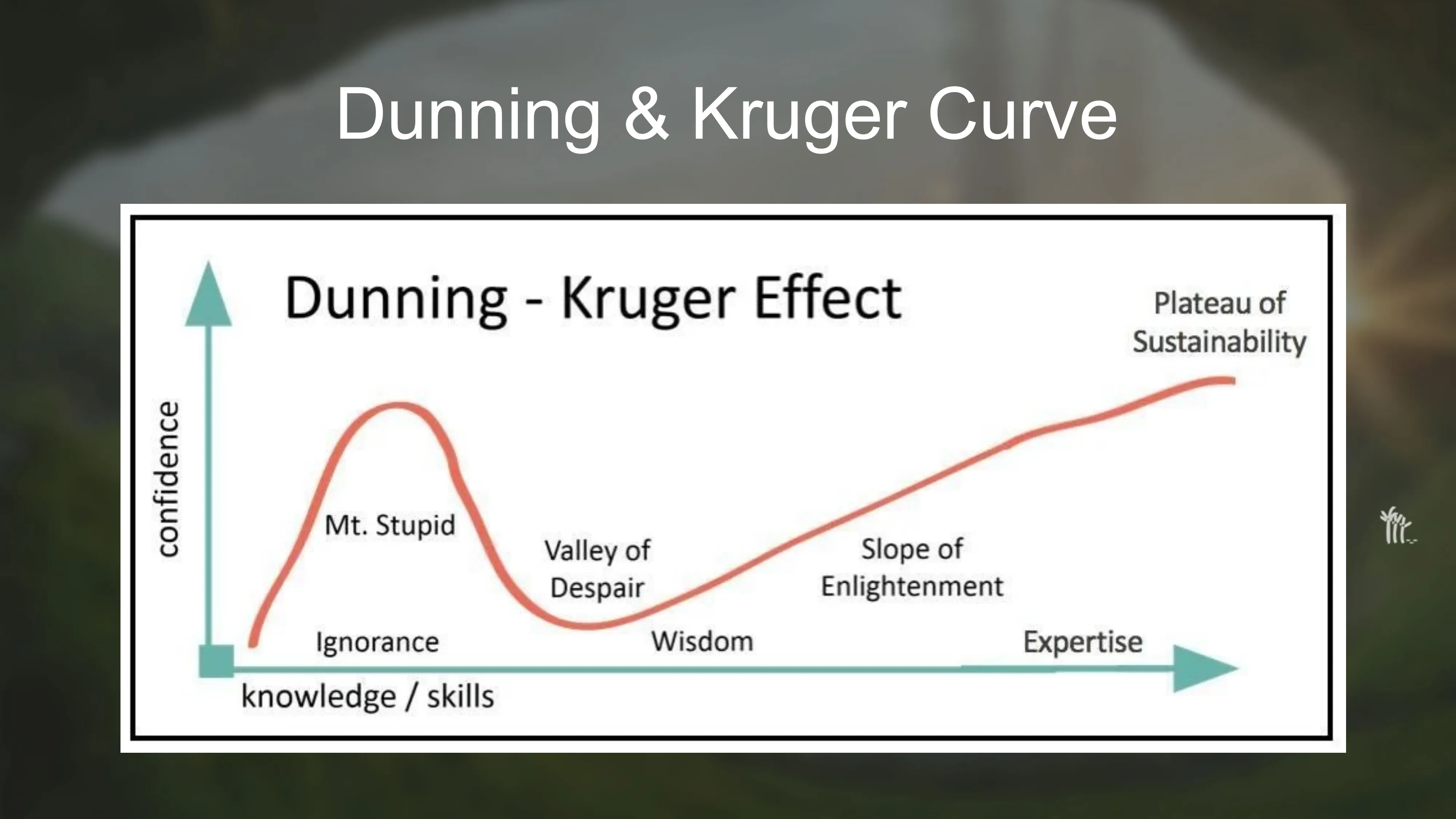 Slide 15